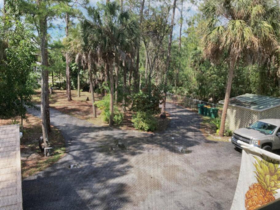 "Mia'S Place" Beautiful Private Apartment Surrounded By Nature North North Naples Exterior foto