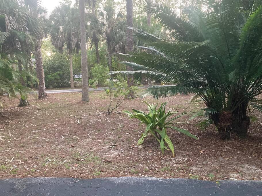 "Mia'S Place" Beautiful Private Apartment Surrounded By Nature North North Naples Exterior foto